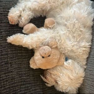 Meet your Posher, Caity